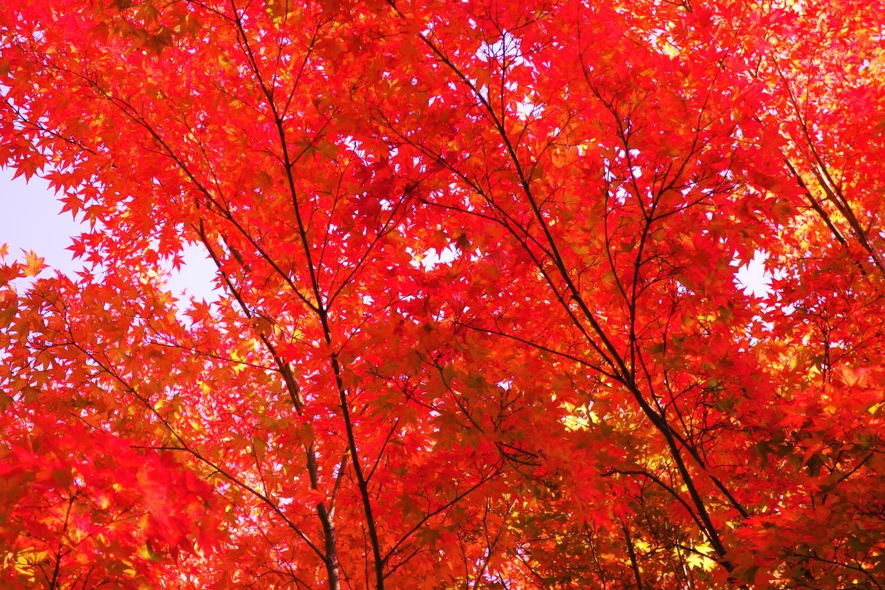Kishutetsudo Karuizawa Hotel Cumagoi Kültér fotó